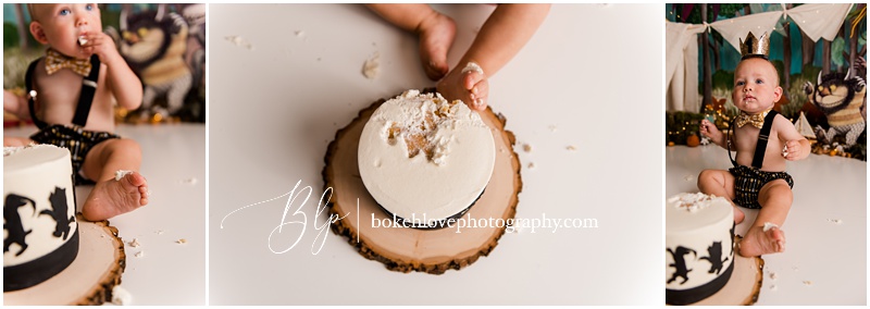 Bokeh Love Photography, Where the wild things are, Galloway Cake Smash Photography Session