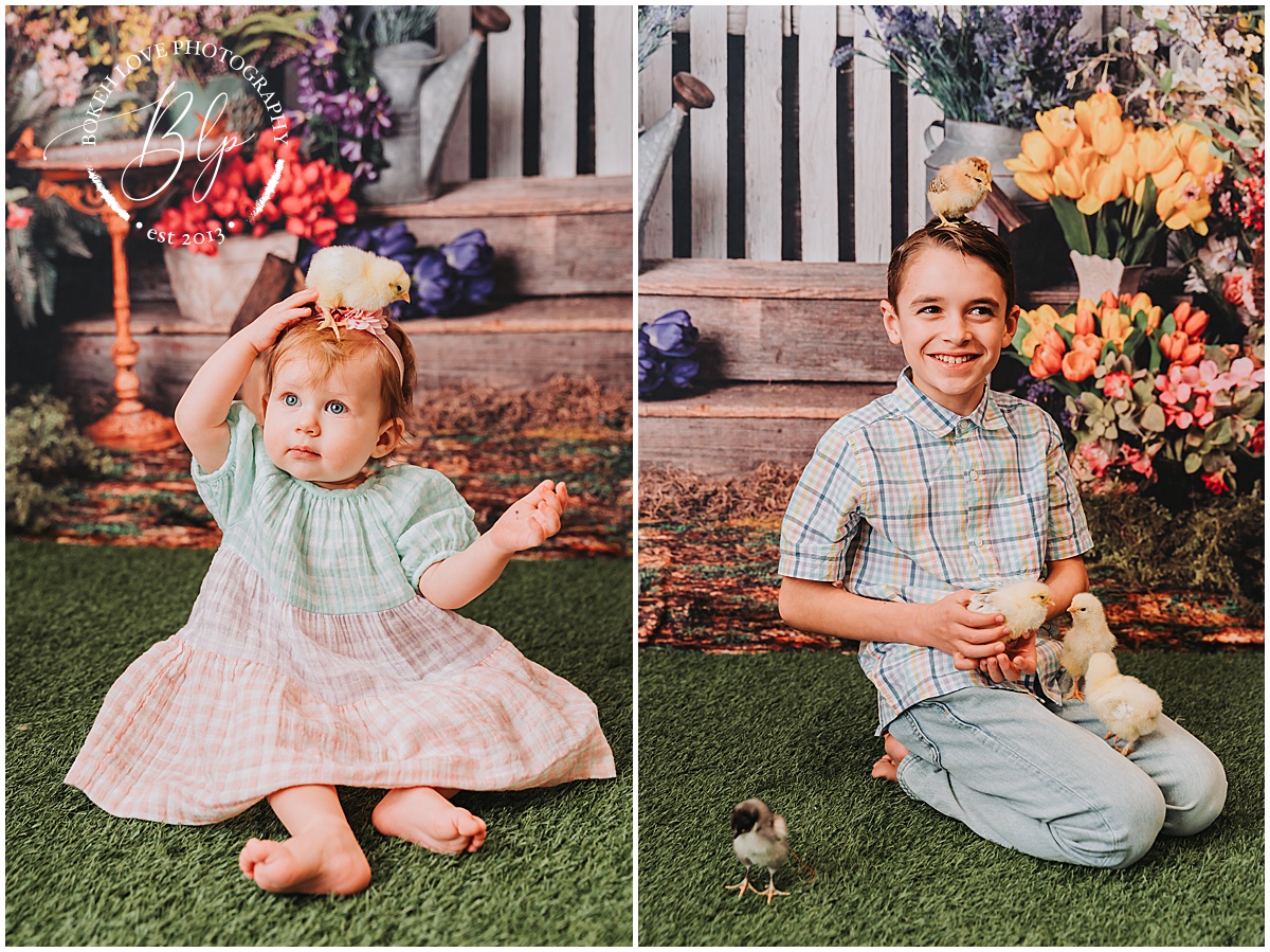 Bokeh Love Photography, baby chicks, galloway, nj, Spring Mini Sessions with Adorable Baby Chicks