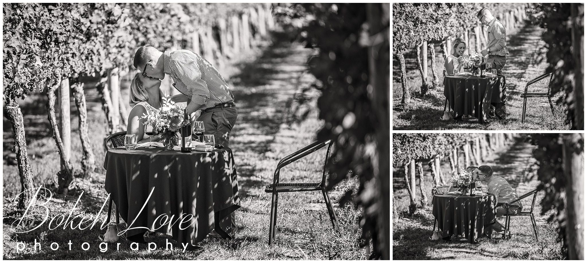 Cape May Winery Proposal, Bokeh Love Photography, Cape May Wedding Photographer