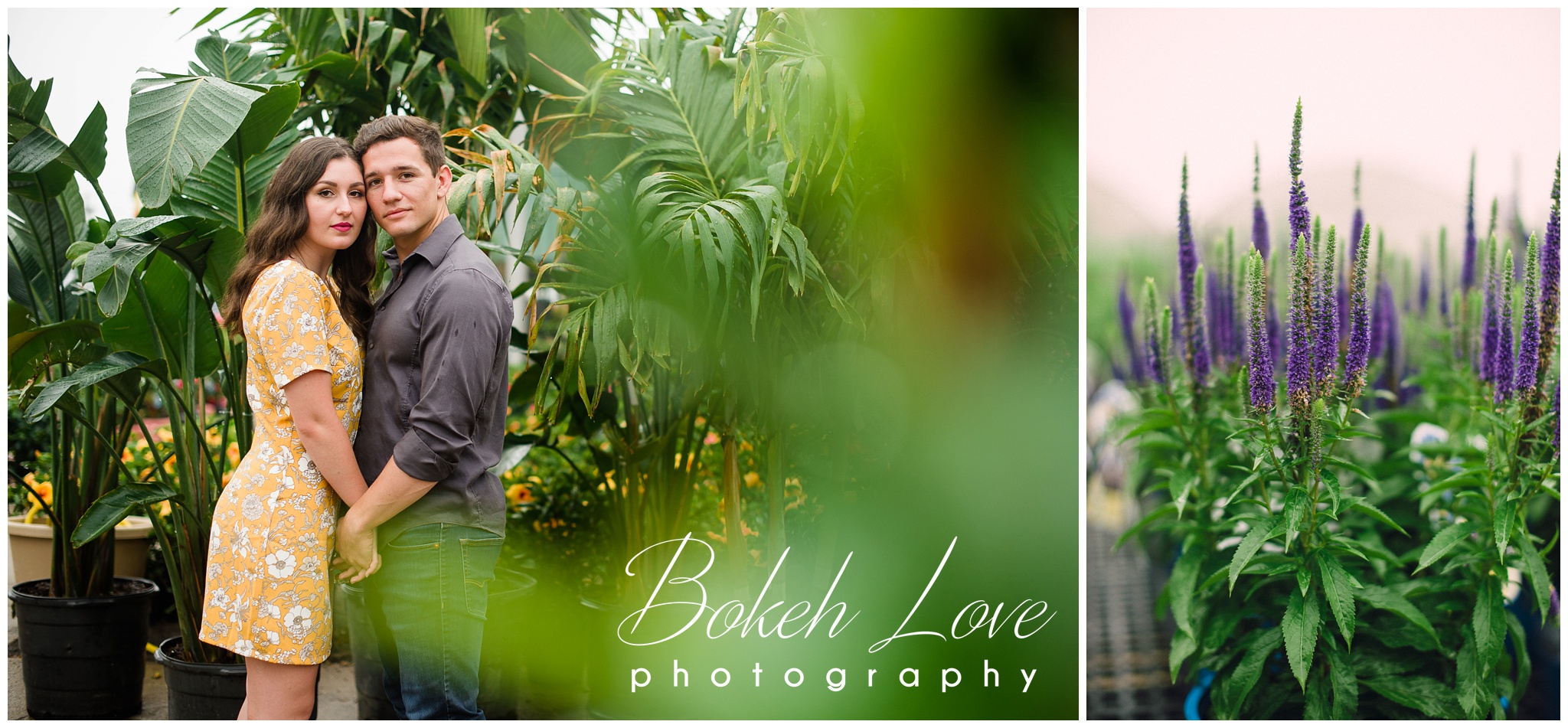 Bokeh_Love_Photography_Galloway_Professional_Photographer_4266.jpg
