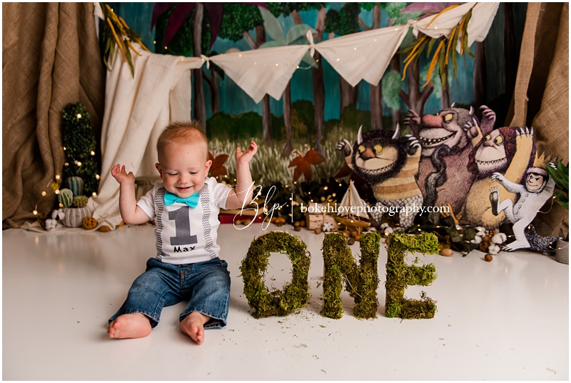 Bokeh Love Photography, Where the wild things are, Galloway Cake Smash Photography Session