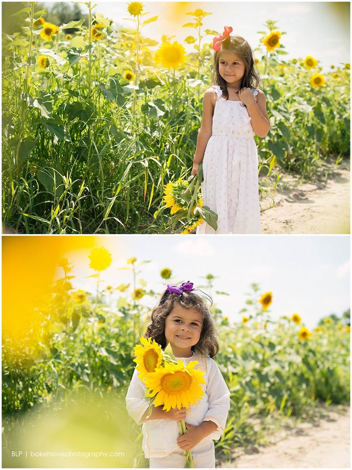 Bokeh Love Photography, Cape May Sun Flower Farm, Summer Portraits, Cape May Family Photographer