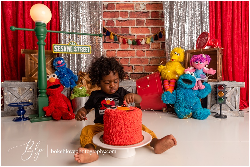 bokeh love photography, south jersey cake smash photographer, Elmo Cake Smash, sesame street cake smash