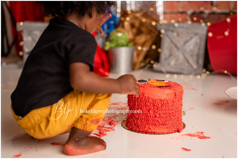 bokeh love photography, south jersey cake smash photographer, Elmo Cake Smash, sesame street cake smash