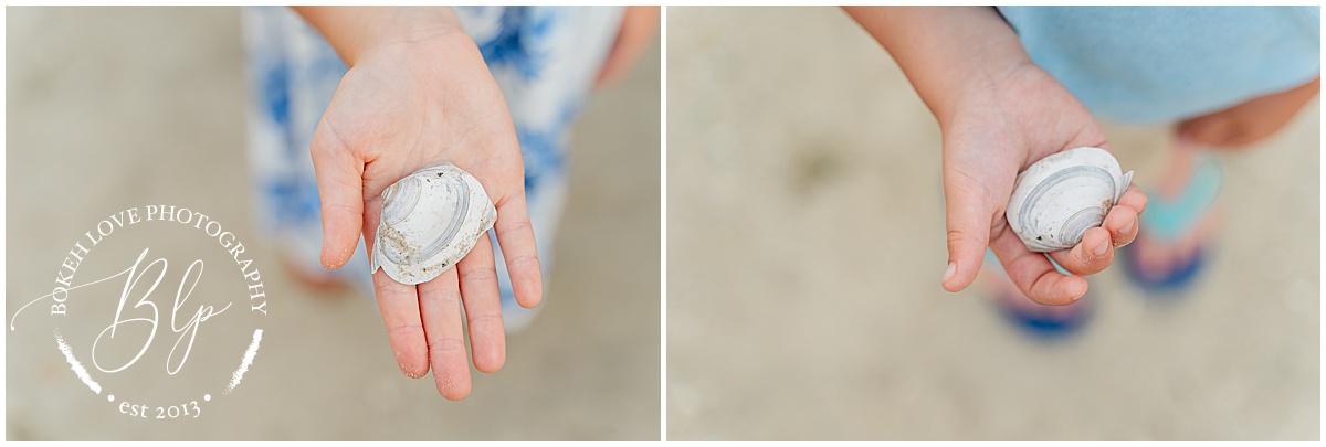 Bokeh Love Photography, Family portraits on the beach in avalon, children holding seashells in hands