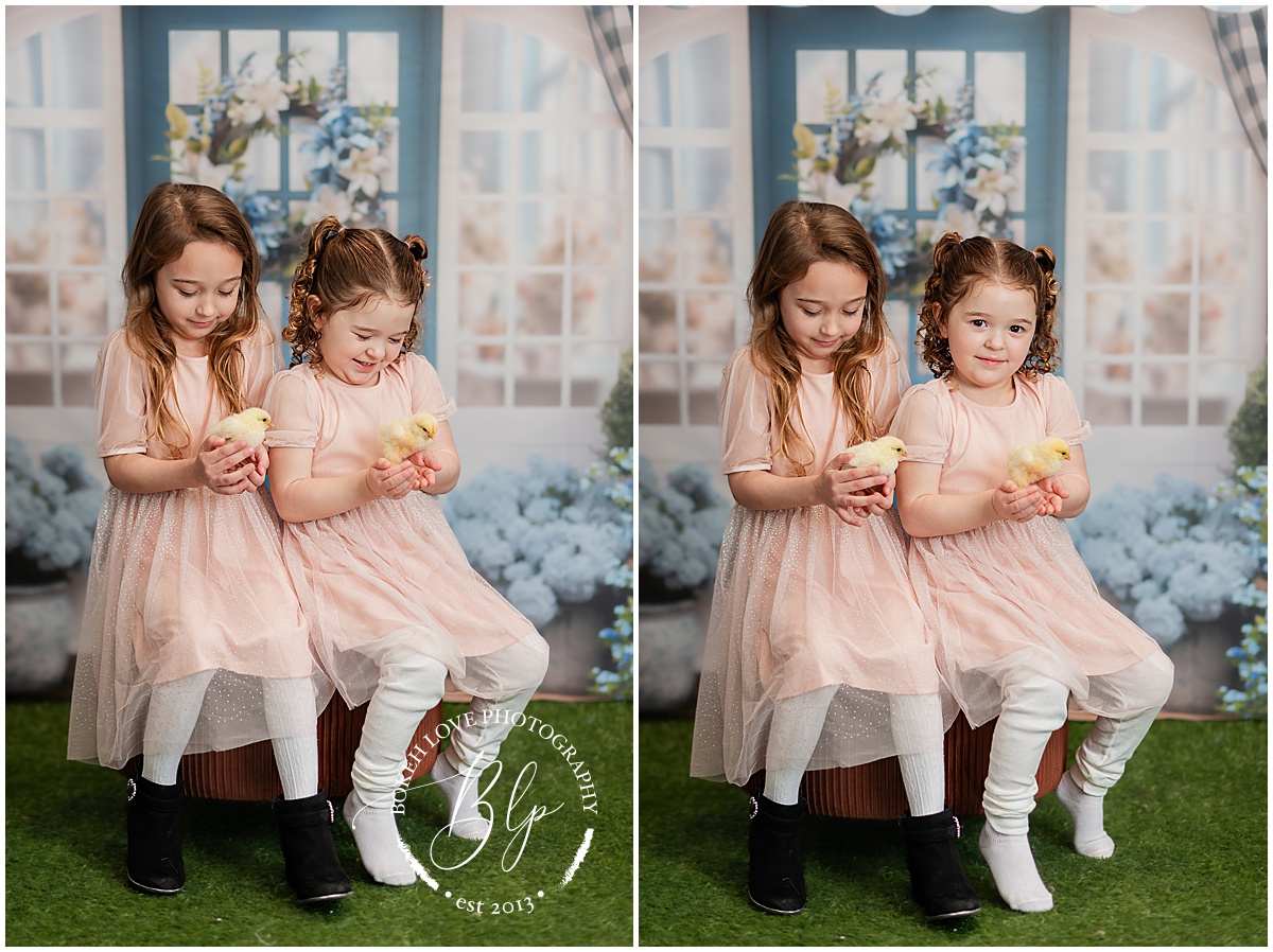 Spring Minis in Galloway, Spring photograph of two sisters wearing pale pink dresses, sitting nicely for portraits at Bokeh Love Photography's studio located in Galloway, NJ. Girls are holding baby yellow chicks.